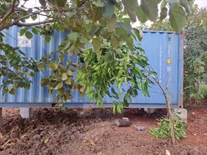 We Sell Shipping Containers- 20ft Container Delivered.