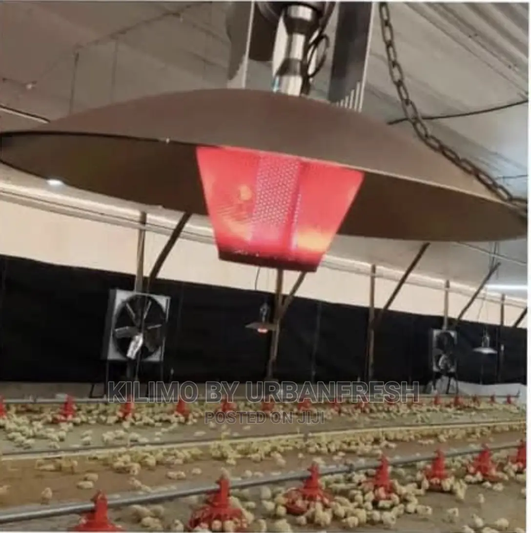 Commercial Gas Brooder Up to 3,500 Chicks