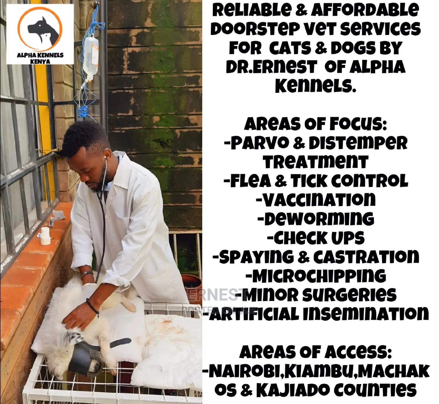 Veterinary Services and Check Ups