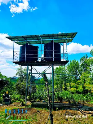 Borehole Solarization Water Pumping Solutions