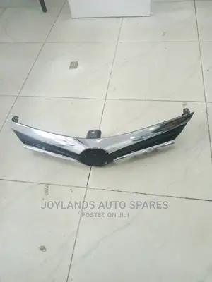 Axio/Fielder 165/2019 Grille