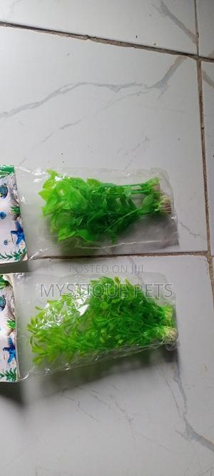 Aquarium Decorations - main view