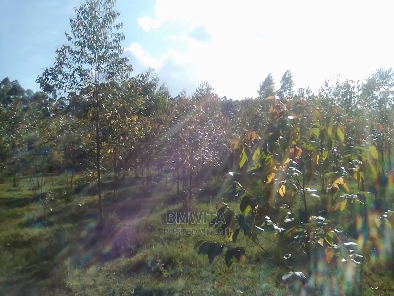 5.11 Acres Land for Sale, Kitale Kiminini Area