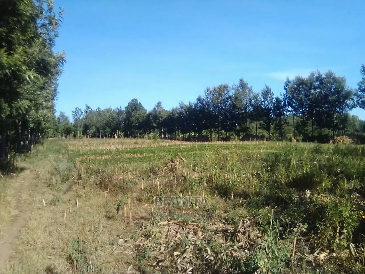 5.11 Acres Land for Sale, Kitale Kiminini Area