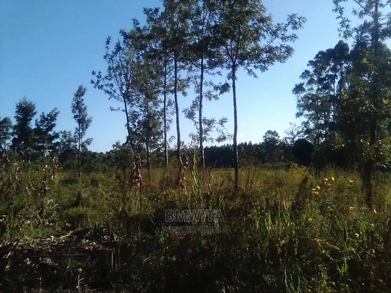 5.11 Acres Land for Sale, Kitale Kiminini Area