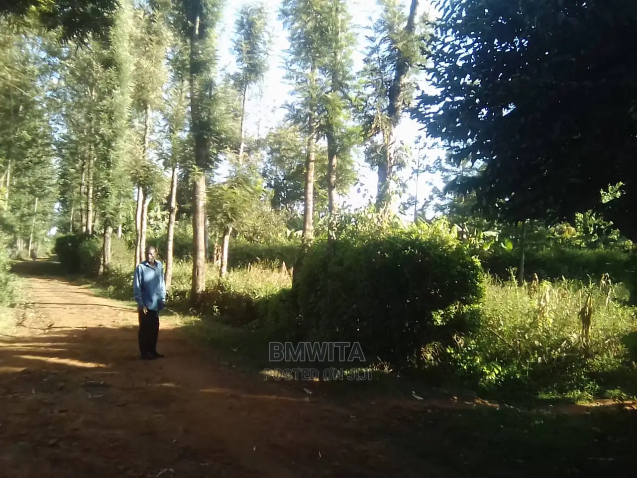 5.11 Acres Land for Sale, Kitale Kiminini Area