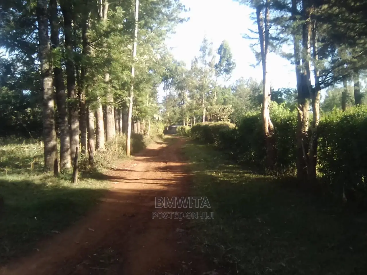 5.11 Acres Land for Sale, Kitale Kiminini Area