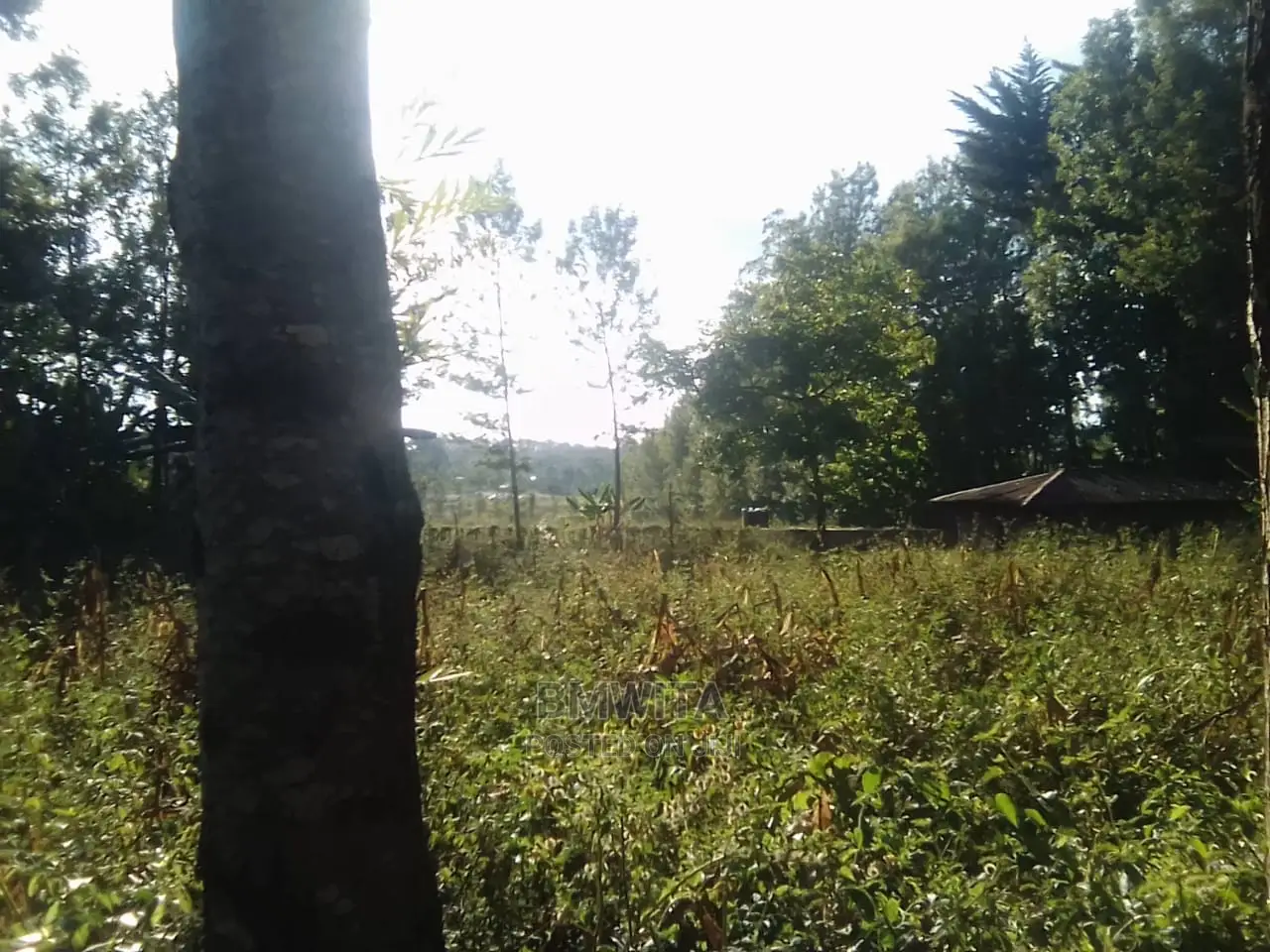 5.11 Acres Land for Sale, Kitale Kiminini Area