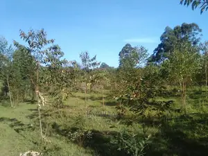 5.11 Acres Land for Sale, Kitale Kiminini Area