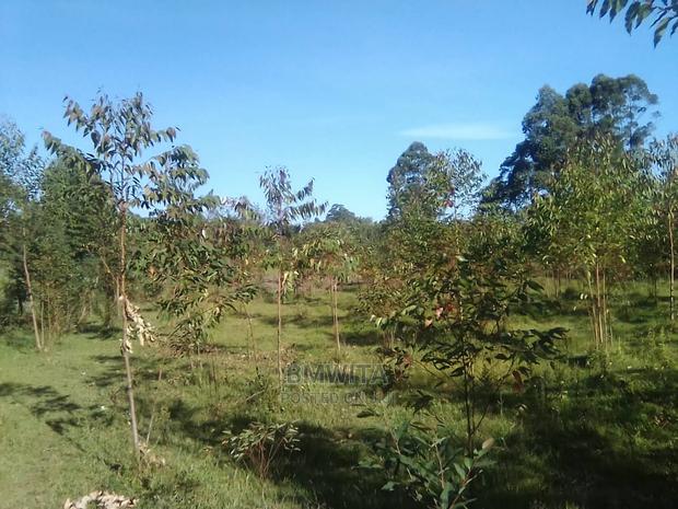 5.11 Acres Land for Sale, Kitale Kiminini Area