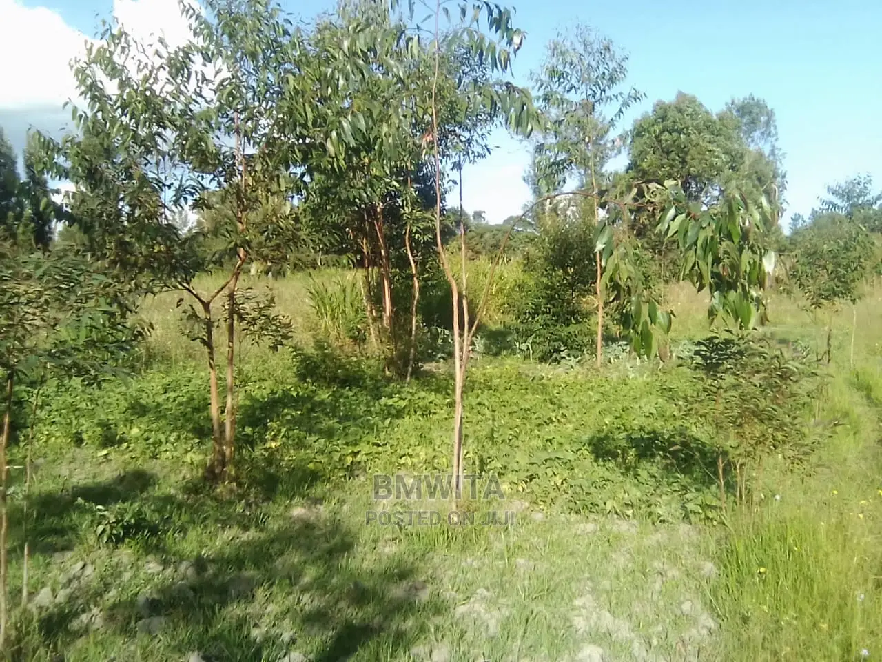 5.11 Acres Land for Sale, Kitale Kiminini Area