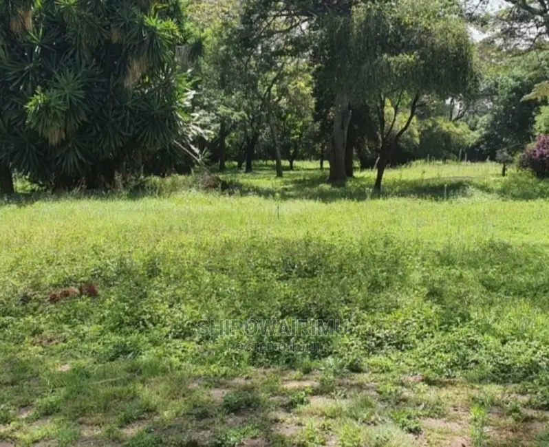 5 Acres at Kabarnet Gardens Nairobi