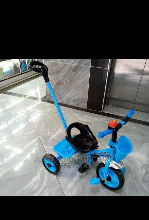 Original Push Tricycle for Kids