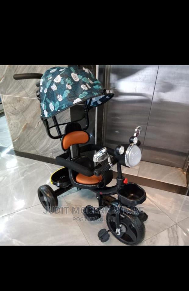 Tricycle With Handle,Canopy,Music,Protective Side Bars