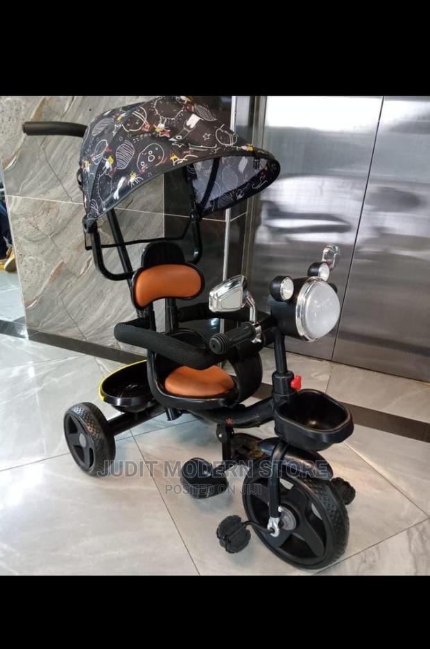 Tricycle for Young Children With Handle,Canopy,Music,Etc