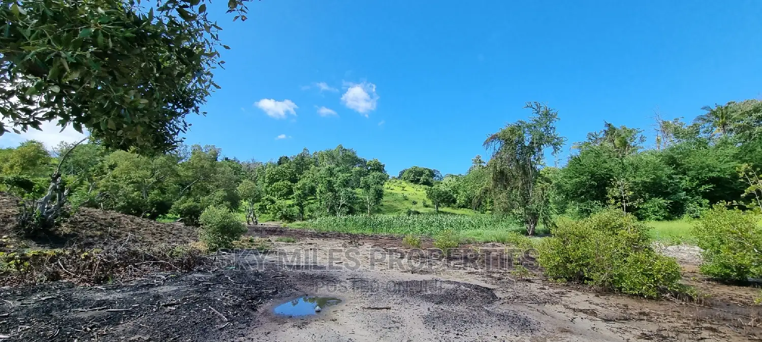 2.5 Acres Virgin Land,Creek Beach Plot on Sale Mtwapa