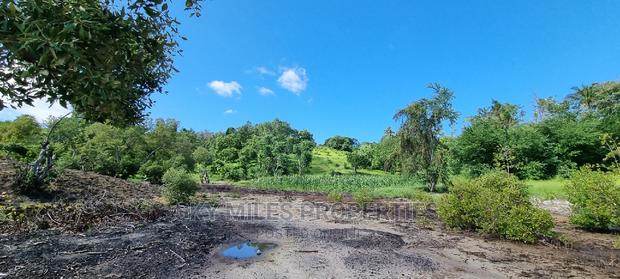 2.5 Acres Virgin Land,Creek Beach Plot on Sale Mtwapa - main view
