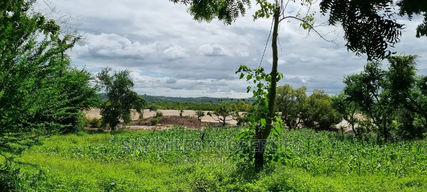 2.5 Acres Virgin Land,Creek Beach Plot on Sale Mtwapa