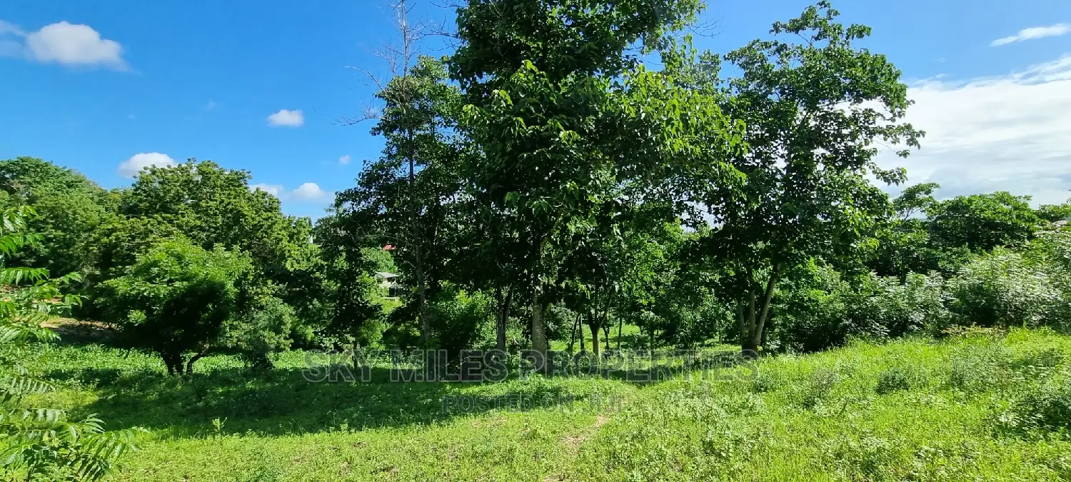 2.5 Acres Virgin Land,Creek Beach Plot on Sale Mtwapa