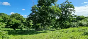 2.5 Acres Virgin Land,Creek Beach Plot on Sale Mtwapa