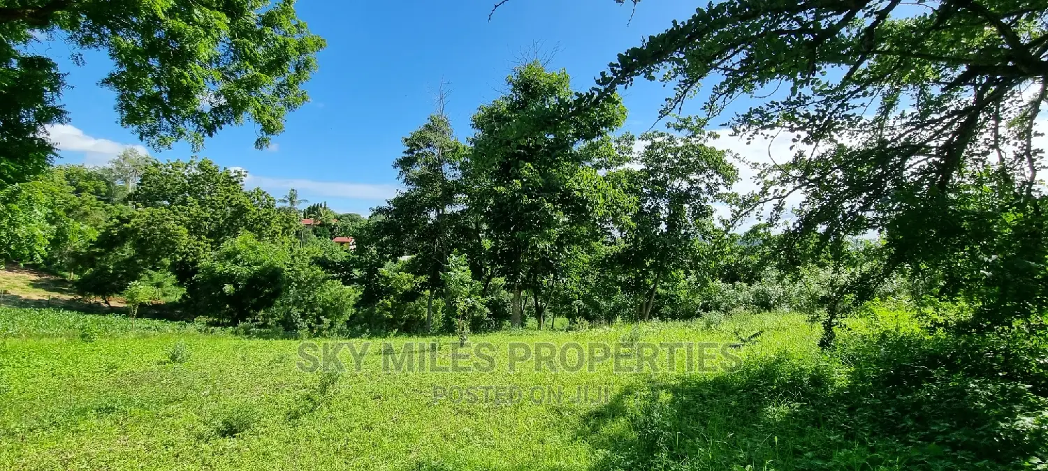 2.5 Acres Virgin Land,Creek Beach Plot on Sale Mtwapa