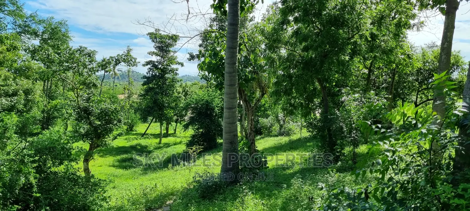 2.5 Acres Virgin Land,Creek Beach Plot on Sale Mtwapa