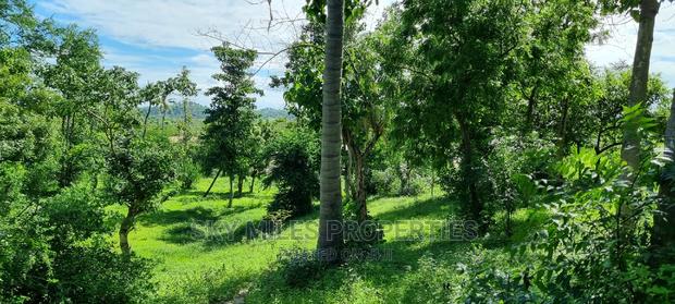2.5 Acres Virgin Land,Creek Beach Plot on Sale Mtwapa - thumbnail 6