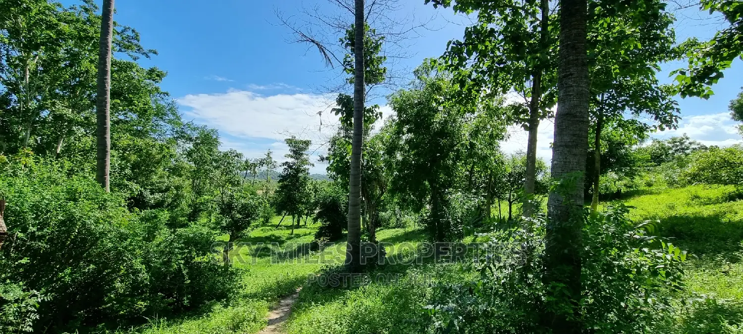 2.5 Acres Virgin Land,Creek Beach Plot on Sale Mtwapa