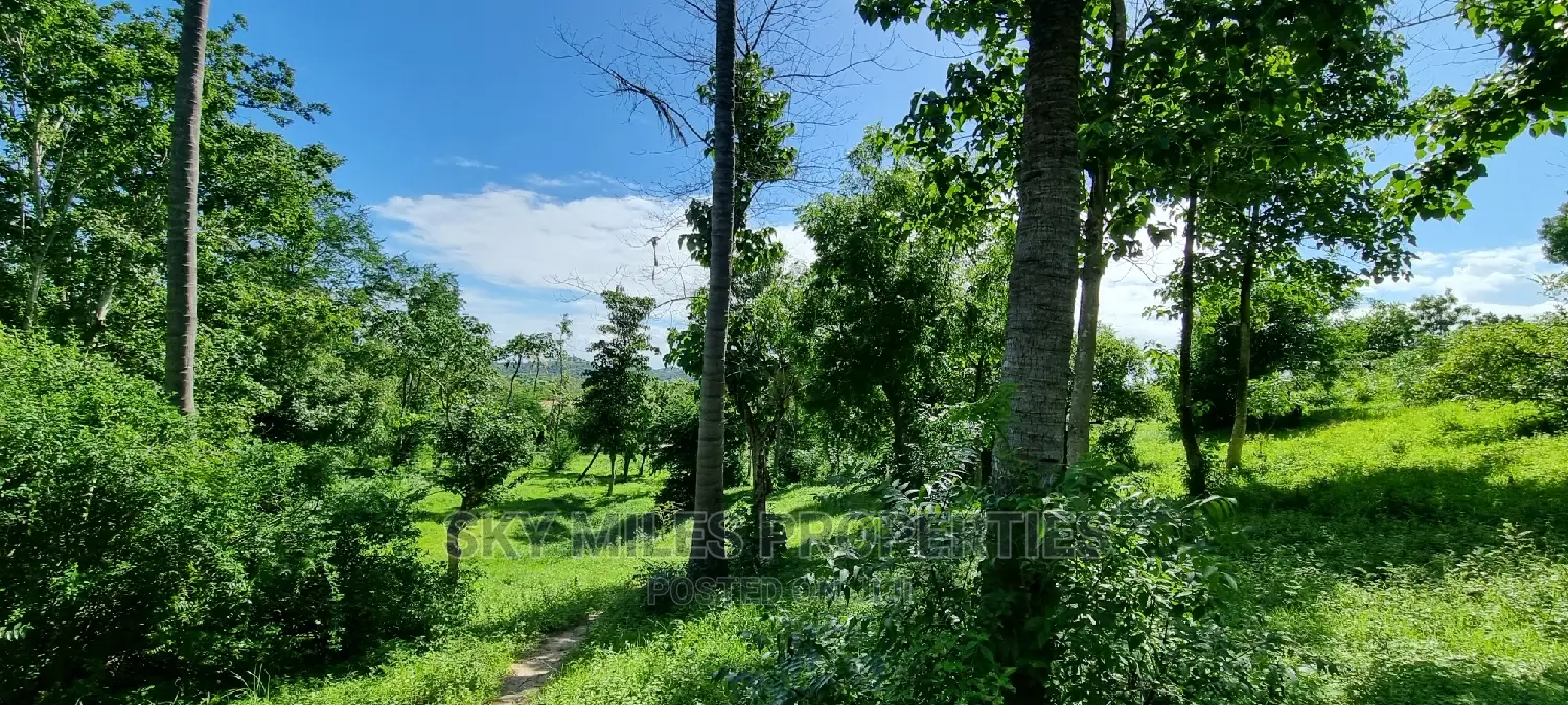 2.5 Acres Virgin Land,Creek Beach Plot on Sale Mtwapa
