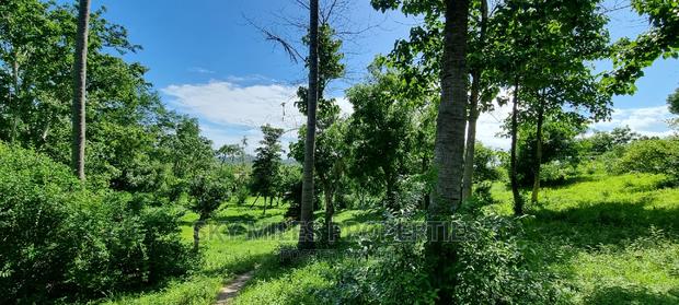 2.5 Acres Virgin Land,Creek Beach Plot on Sale Mtwapa - thumbnail 8