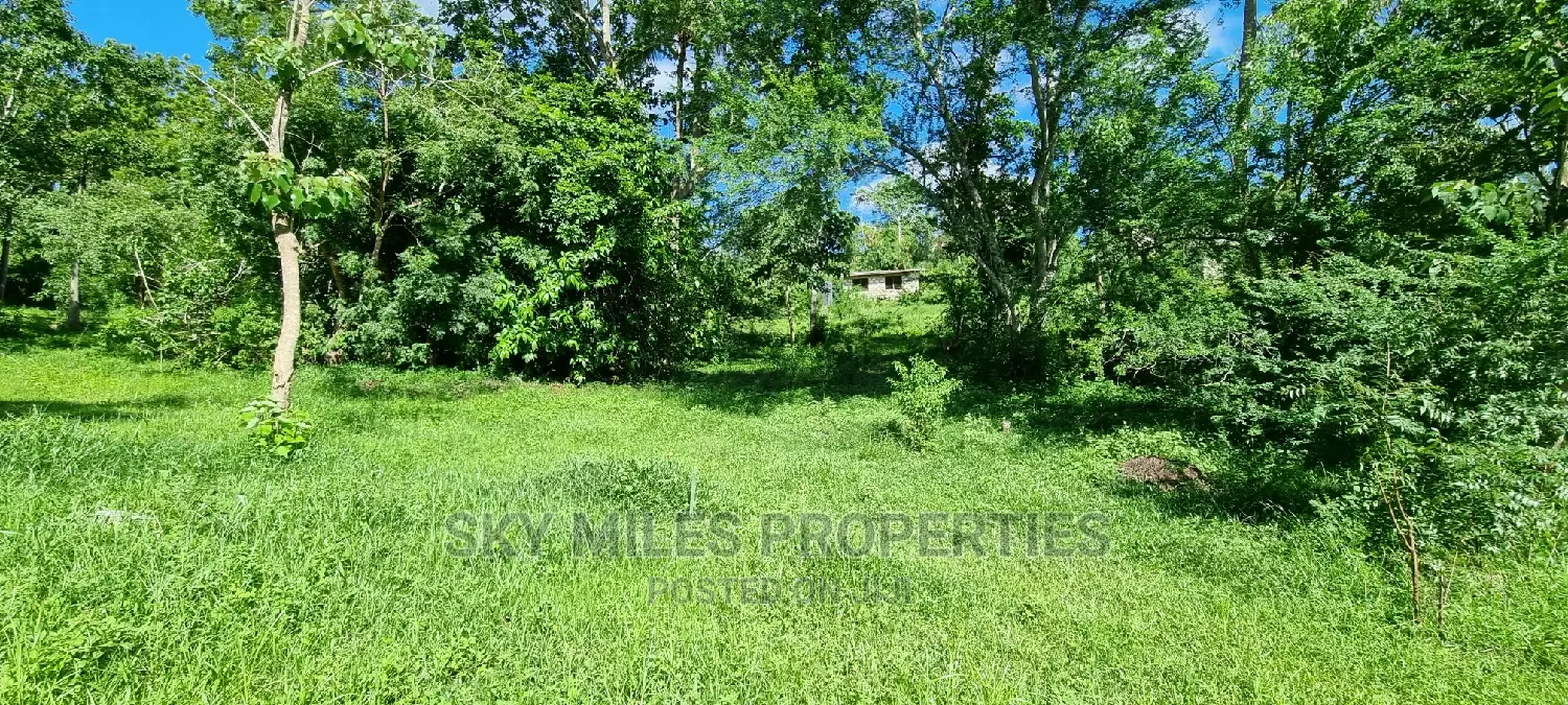 2.5 Acres Virgin Land,Creek Beach Plot on Sale Mtwapa
