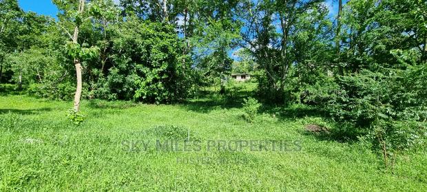 2.5 Acres Virgin Land,Creek Beach Plot on Sale Mtwapa - thumbnail 9