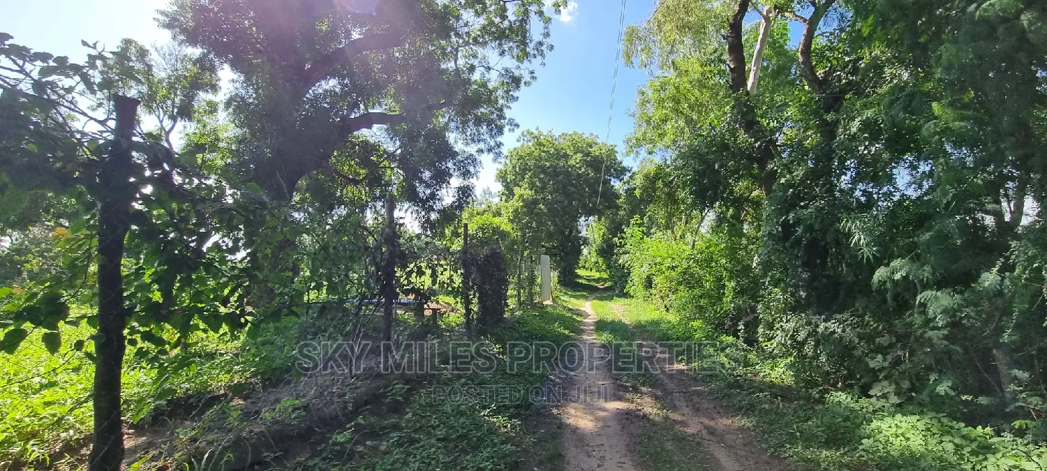 2.5 Acres Virgin Land,Creek Beach Plot on Sale Mtwapa