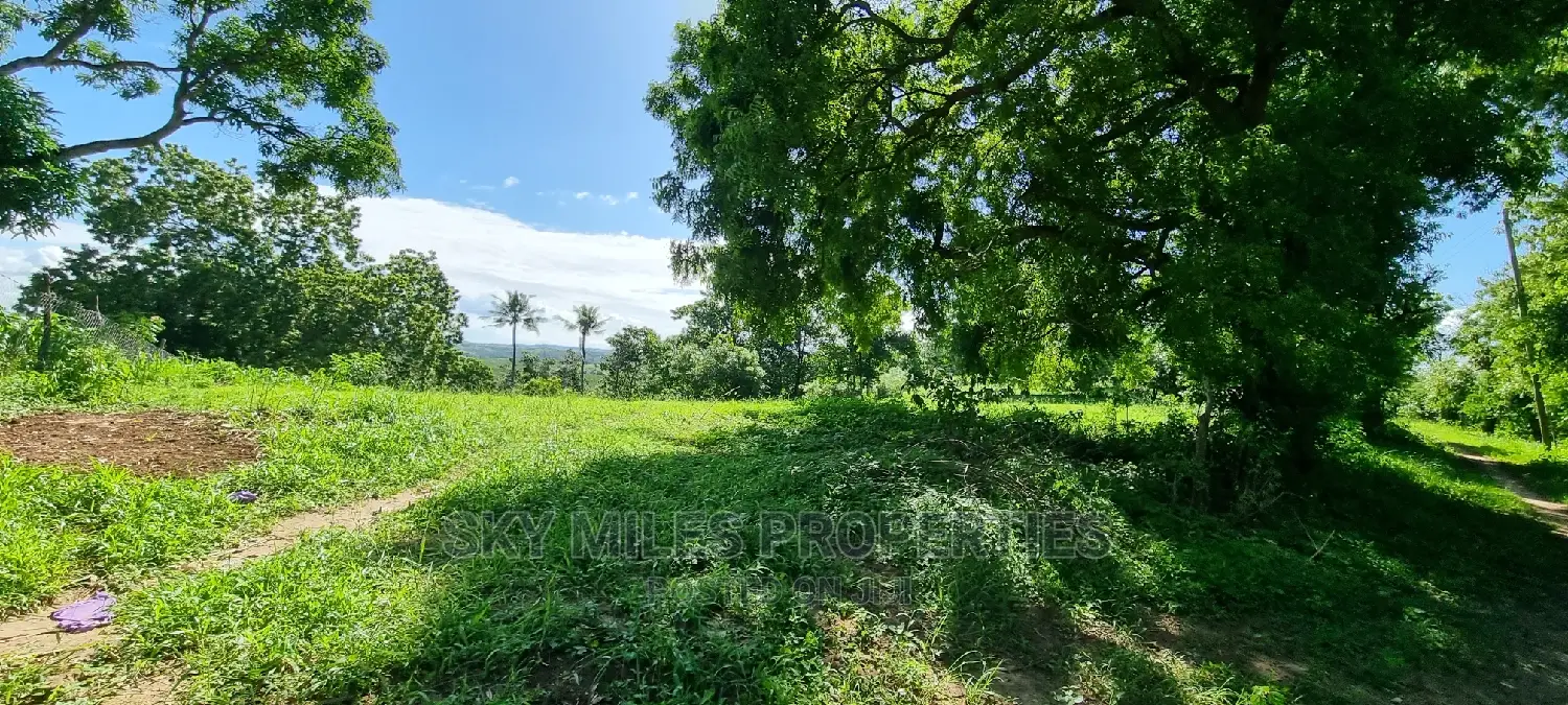 2.5 Acres Virgin Land,Creek Beach Plot on Sale Mtwapa