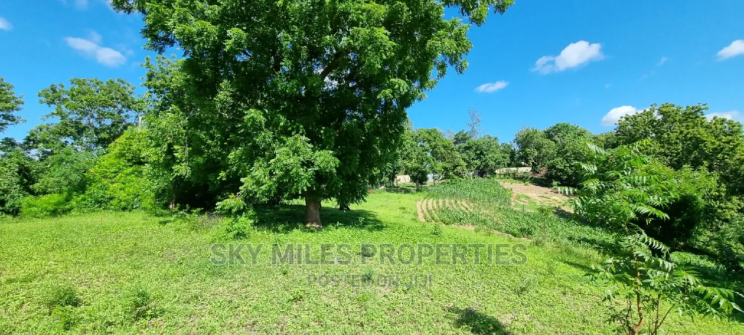 2.5 Acres Virgin Land,Creek Beach Plot on Sale Mtwapa