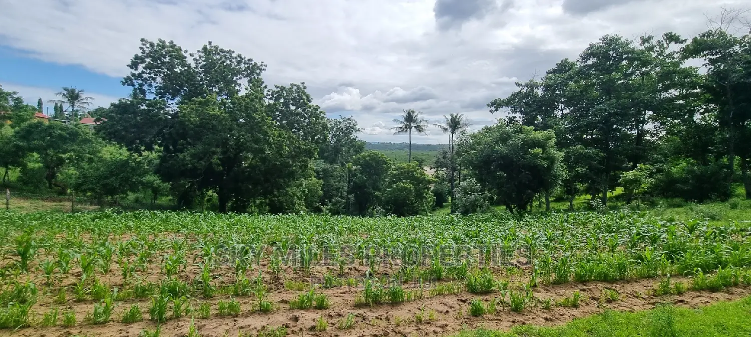 2.5 Acres Virgin Land,Creek Beach Plot on Sale Mtwapa