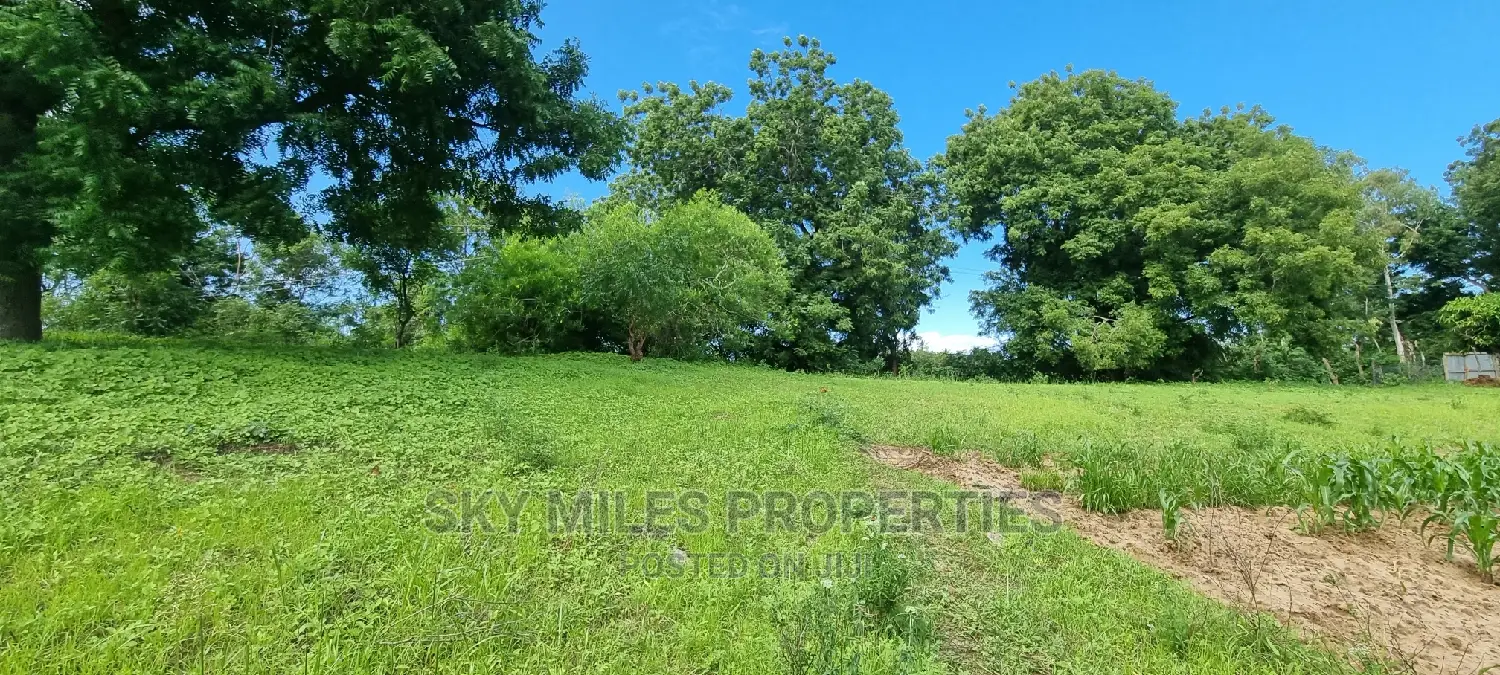 2.5 Acres Virgin Land,Creek Beach Plot on Sale Mtwapa