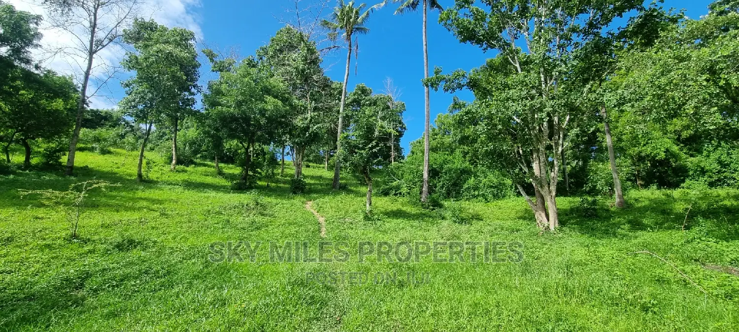 2.5 Acres Virgin Land,Creek Beach Plot on Sale Mtwapa