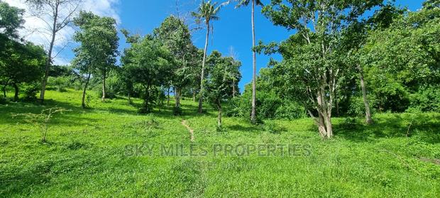 2.5 Acres Virgin Land,Creek Beach Plot on Sale Mtwapa - thumbnail 16