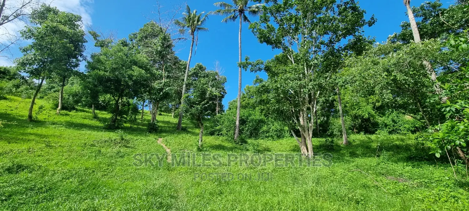 2.5 Acres Virgin Land,Creek Beach Plot on Sale Mtwapa