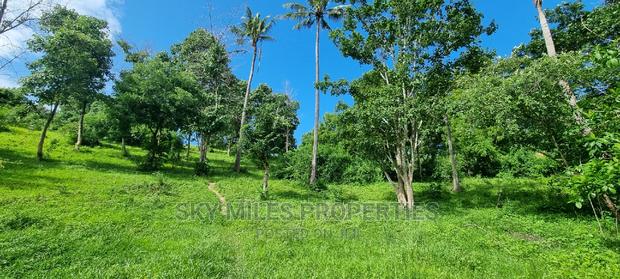 2.5 Acres Virgin Land,Creek Beach Plot on Sale Mtwapa - thumbnail 17