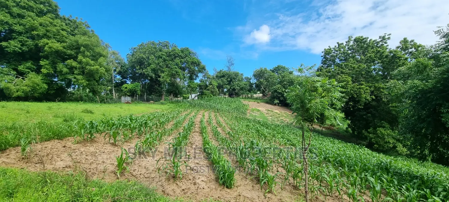 2.5 Acres Virgin Land,Creek Beach Plot on Sale Mtwapa