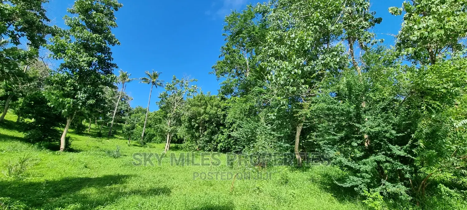 2.5 Acres Virgin Land,Creek Beach Plot on Sale Mtwapa
