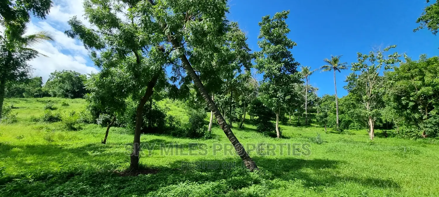 2.5 Acres Virgin Land,Creek Beach Plot on Sale Mtwapa