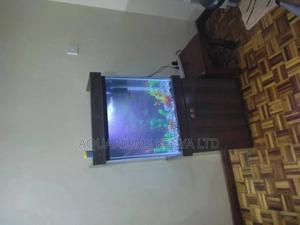 2x2x1 ,100litres Aquarium With Stand - thumbnail 2