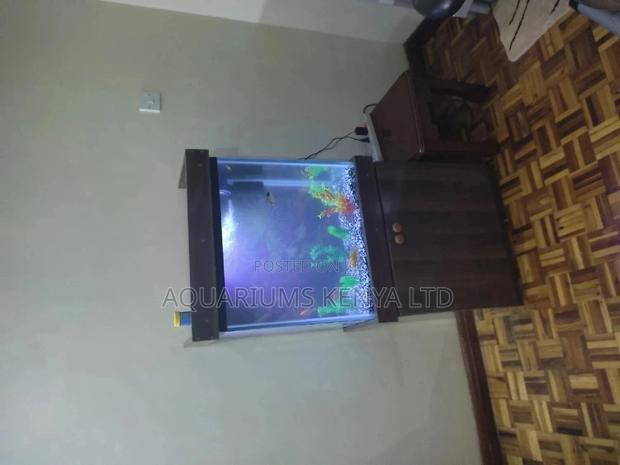 2x2x1 ,100litres Aquarium With Stand - main view