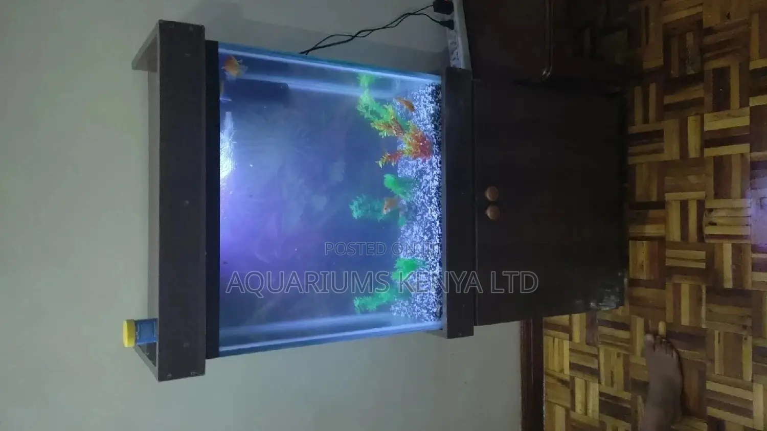 Petite Home Aquarium ,100litres