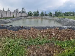 Damliner /Water Pan/Fish Pond