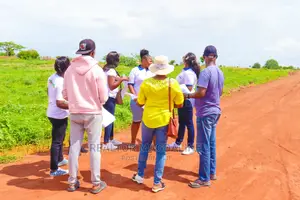 50 by 100 SQFT Plots in MARIAKANI