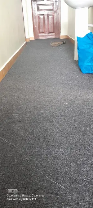 Wall to Wall Carpet Wall to Wall Carpet